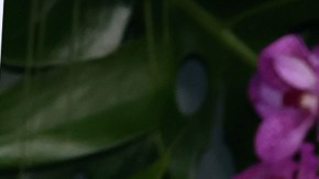 El elenco de "Dejar el mundo atrás" también incluye a destacados actores como Mahershala Ali, Myha’la Herrold y Kevin Bacon.