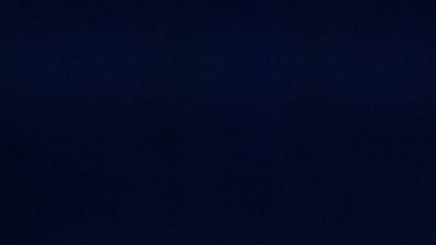 El concierto de Patti en el teatro Duse de Bolonia, Italia, fue cancelado.