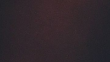 Gary Medel juega en el Vasco Da Gama