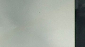 Estudiante universitario de Washington murió en aparente fuga de monóxido de carbono