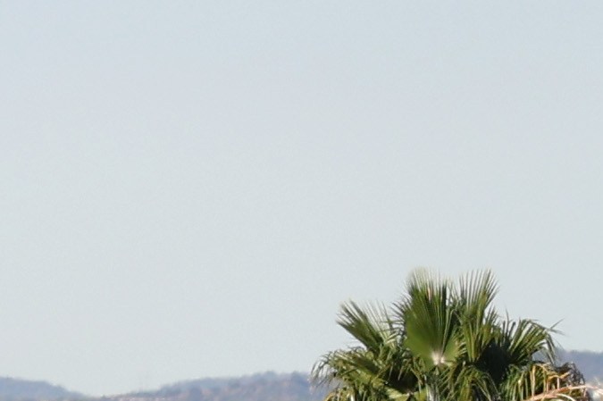 LOS ANGELES, CALIFORNIA - NOVEMBER 23: Heavy traffic moves along the 101 freeway on Wednesday morning on November 23, 2022 in Los Angeles, California. The American Automobile Association (AAA) predicts nearly 55 million Americans will travel 50 miles or more for the Thanksgiving holiday weekend, 98 percent of pre-pandemic volumes. AAA also projects that nearly 49 million are expected to travel by vehicle this week, while around 4.5 million will fly to their Thanksgiving destinations. (Photo by Mario Tama/Getty Images)