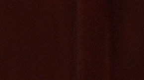 George Santos es acusado de robar dinero de la campaña electoral.