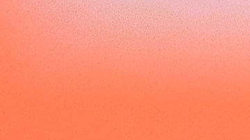 Fernando Hierro es director deportivo de las Chivas de Guadalajara desde octubre del 2022.