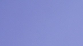 Alec Baldwin se vio involucrado en una tensa discusión con un manifestante.