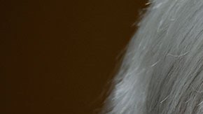 Janet Yellen asegura que la "mayor parte" del fentanilo procede de China y se "sintetiza" en México