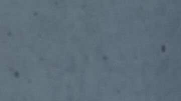 A un año de su accidente, Jeremy Renner regresó al hospital en el que salvaron la vida para agradecer al personal médico