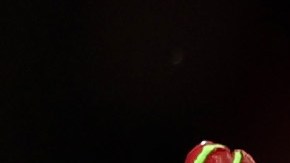 Verdugo jugará con los Yankees.