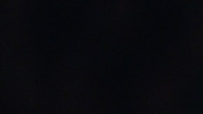 Carlos Vinícius en la celebración de un gol con el Fulham.