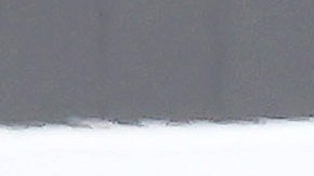 El niño de 6 años que viajaba sin la compañía de un adulto y fue puesto en un vuelo equivocado en EE.UU.