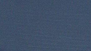 Diego Cocca en su paso por la selección mexicana.