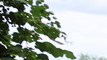 Joven de 19 años muere en un deslizamiento de tierra en un parque estatal de Minnesota