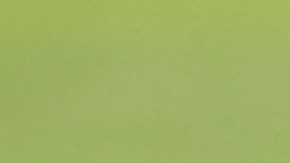 Desde que Jaime Lozano tomó la Selección de México le ha dado la oportunidad a nuevos jugadores