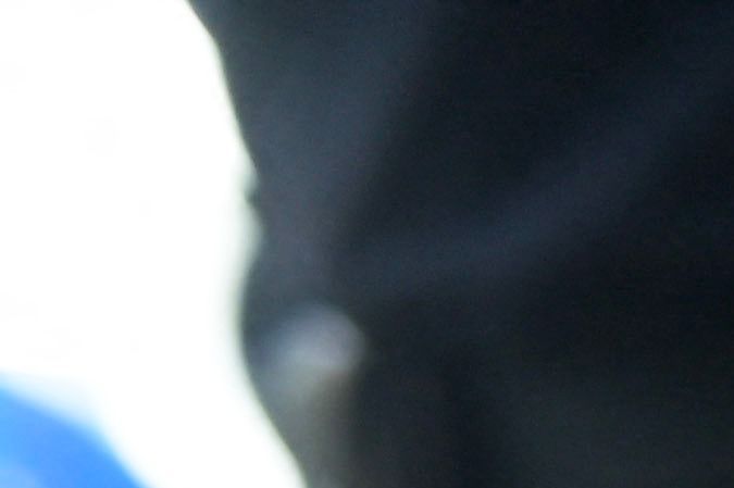 An alleged gang member caught by the police is handcuffed in the department of Cabañas, El Salvador, on August 2 2023. Salvadoran President Nayib Bukele ordered last Tuesday a siege with 8,000 soldiers and policemen in the central department of Cabañas in the framework of a "war" that seeks to stop gang members for 16 months. (Photo by Oscar Rivera / AFP) (Photo by OSCAR RIVERA/AFP via Getty Images)