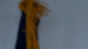 La secretaria del Tesoro, Janet Yellen, viajará a México.