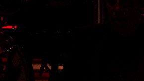 Luis Miguel promete brindar a sus fanáticos un espectáculo inolvidable, marcando así el final de 2023.