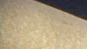 Turista canadiense muere por ataque de tiburón en playa de México