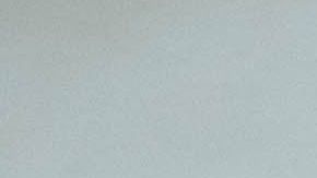 Ballena de aleta de 52 pies de largo apareció muerta en una playa de San Diego