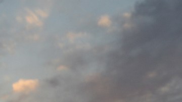 Vecina de Charlie Sheen, acusada de atacar al actor, se declaró no culpable