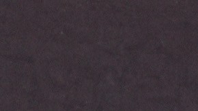 Rodrígo Prieto destaca al figurar dos veces en la categoría a Mejor Fotografía.