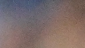 Tyler Glasnow tiene ocho temporadas en Las Mayores.