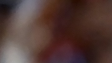 Los Dodgers sigue insistiendo en la búsqueda de un jugador en la agencia libre.