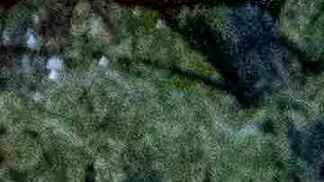 Sospechoso acusado formalmente del asesinato de la presidenta de la sinagoga de Detroit