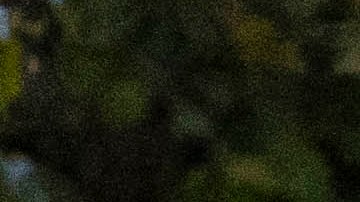 Detienen a segunda persona de interés por el asesinato de la presidenta de la sinagoga de Detroit