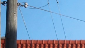 Joven de 14 años enfrenta cargos de asesinato por el tiroteo registrado en Halloween en Florida