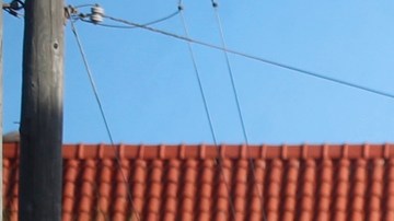 Joven de 14 años enfrenta cargos de asesinato por el tiroteo registrado en Halloween en Florida