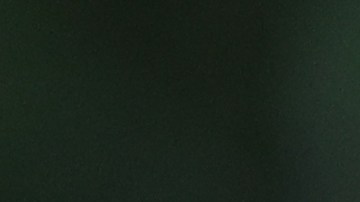 Veljko Paunovic había señalado en principio que tenía ganas de seguir con las Chivas.