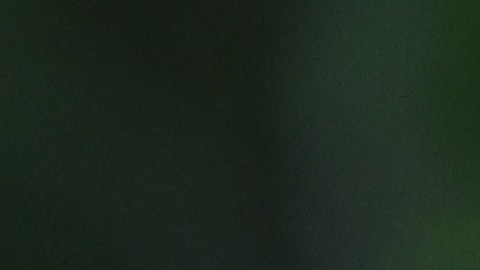 Veljko Paunovic había señalado en principio que tenía ganas de seguir con las Chivas.
