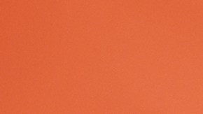 Veljko Paunovic lamentó no haber concretado las opciones que tuvieron ante los Pumas.