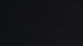 El actor colaboró activamente en la preparación y servicio de sándwiches junto a DiGiampietro.