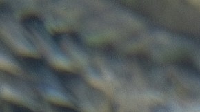 Autoridades alertan de la presencia de cocodrilos en playas del sur de México