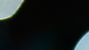 El entrenador argentino Nicolás Larcamón tiene experiencia dirigiendo en Venezuela, Chile y México.