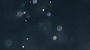 Julián Quiñones ya ha jugado un par de partidos con la camiseta de El Tri.