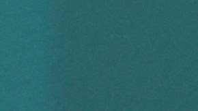 La vicepresidenta Kamala Harris está participando en la Cumbre Mundial de Acción Climática en Dubai.