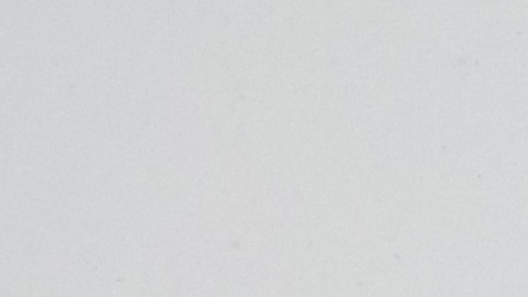 El Allianz Arena quedó bajo nieve.