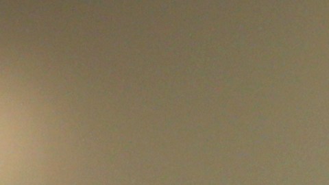 El australiano Daniel Ricciardo es actualmente uno de los pilotos de la escudería AlphaTauri.