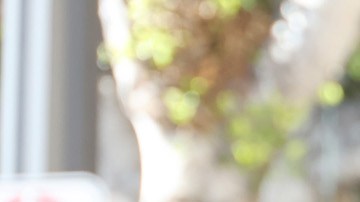 Macaulay Culkin fue honrado con una estrella en el Paseo de la Fama de Hollywood.