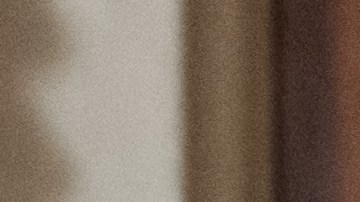 Chuck Schumer entregó a Kamala Harris un "mazo de oro" después de que ella emitiera su voto de desempate número 32.