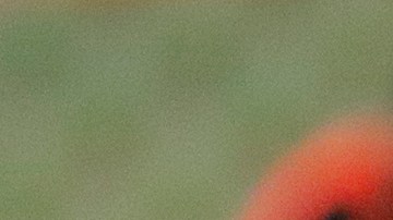 Omar Campos ha disputado las últimas cuatro temporadas con el Santos Laguna.