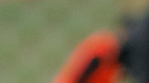 Omar Campos ha disputado las últimas cuatro temporadas con el Santos Laguna.
