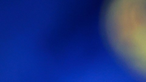 André Jardine hace historia con el Club América al llegar a la final.