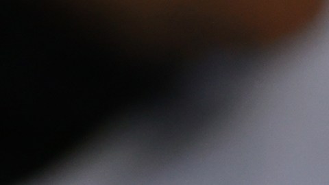 Nicolás Larcamón, entrenador del Club León que participará este año en el Mundial de Clubes.