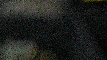 Darlington Nagbe recibe la copa de campeones de la MLS como capitán del Columbus Crew.