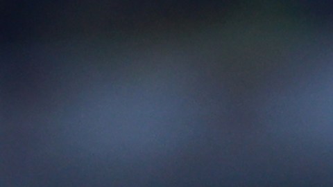 El entrenador brasileño André Jardine está entre los DT de la fase final del Apertura 2023.