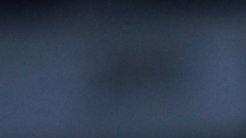 El Club América ha sido uno de los equipos de la Liga MX que ha marcado más goles en el Apertura 2023.