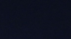 Denis Bouanga en celebración con el LAFC.