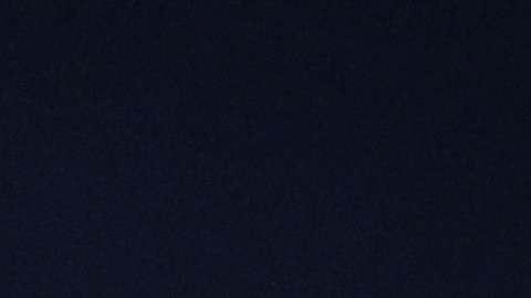 Denis Bouanga en celebración con el LAFC.